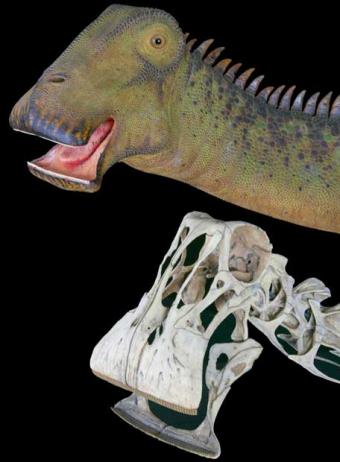 Club Científico Bezmiliana » El dinosaurio con más dientes del mundo