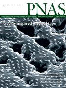 revista PNAS.gif