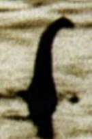 nessie.jpg